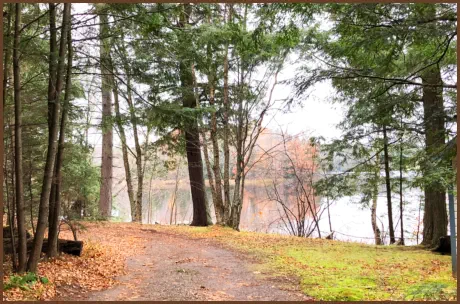 Northwoods Long Lake Resort Long Lake WI Resort Northern Wisconsin