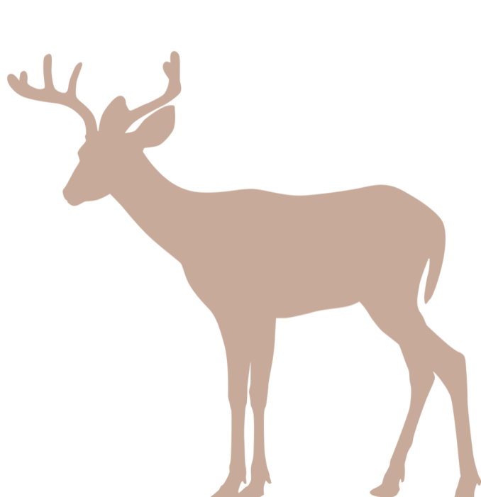 Reservations at Northwoods Long Lake Cabins - Waterfront Resort