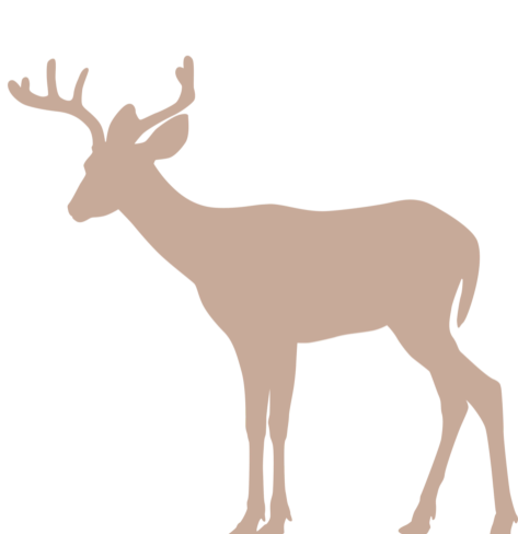 Make reservations for our 6 cabins on Long Lake by calling 715-889-9992. Open year round. Affordable Cabins on Long Lake. Affordable waterfront Resort.