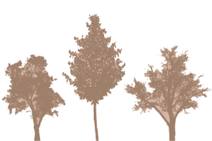 For reservations or questions call 715-889-9992. The resort is located at 3325 Cooks Lane North; Long Lake, WI. Waterfront Cabins and Lakefront cottages.